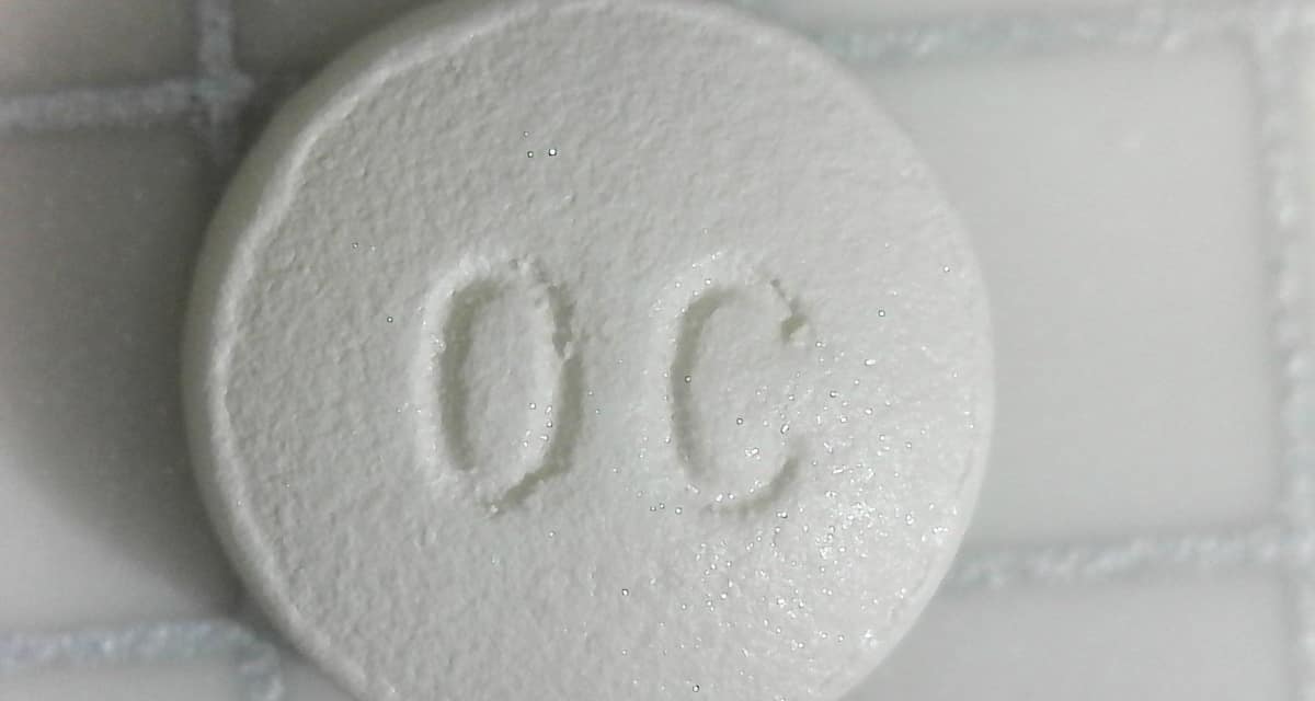 Miami “Patient Recruiter” Pleads Guilty in 87,000-Pill Oxycodone Conspiracy