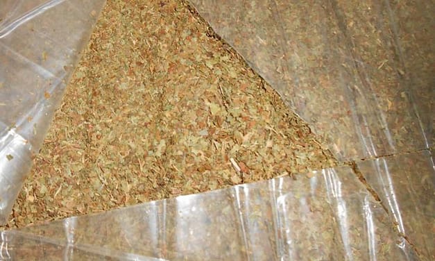 A Kratom-Derived Opioid, a Mislabeled Package, and a Blind Spot for PDMPs